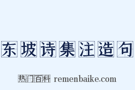 东坡诗集注造句是什么意思的图片
